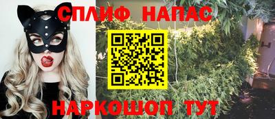 гидра Камень-на-Оби