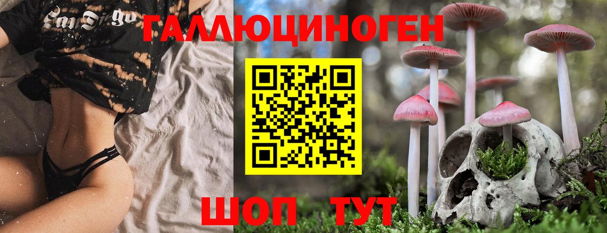 Псилоцибиновые грибы ЛСД Рославль