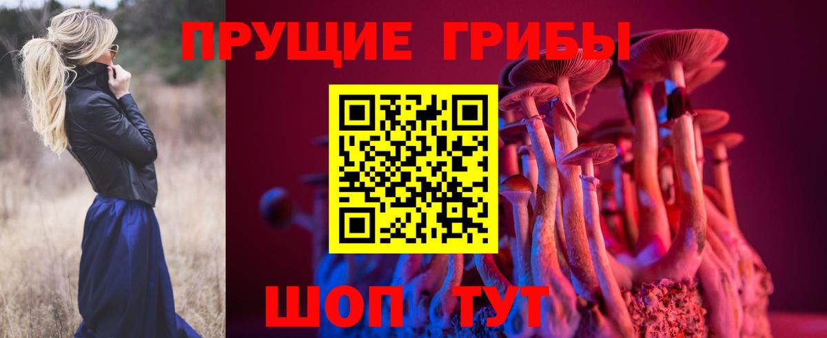 Псилоцибиновые грибы GOLDEN TEACHER  Вход с VPN  Рославль 